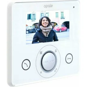 Абонентское устройство OPALE W WHITE CAME 62100250 (КАМЕ) Абонентское устройство OPALE W WHITE CAME 62100250 (КАМЕ)